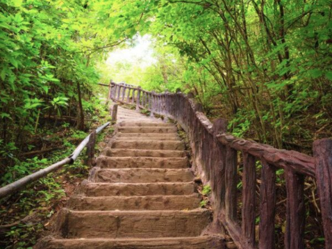 odile-perreau-gestalt-therapie-toulouse-psychogenealogie-coaching